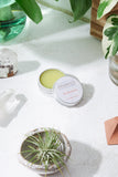 Boo Boo b Gone / Natural Neosporin / Healing Wound Salve Boo Boo b Gone / Natural Neosporin / Healing Wound Salve
