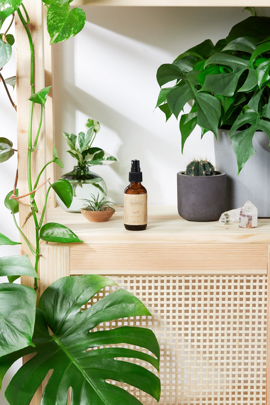 A bottle of skincare product on a wooden shelf with plants in the foreground and background.
