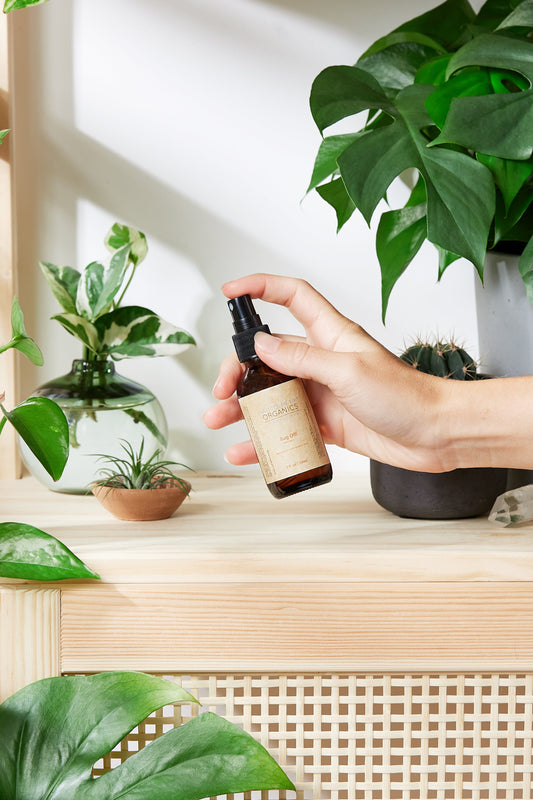 Hand holding a small brown bottle with a spray nozzle in front of green plants.