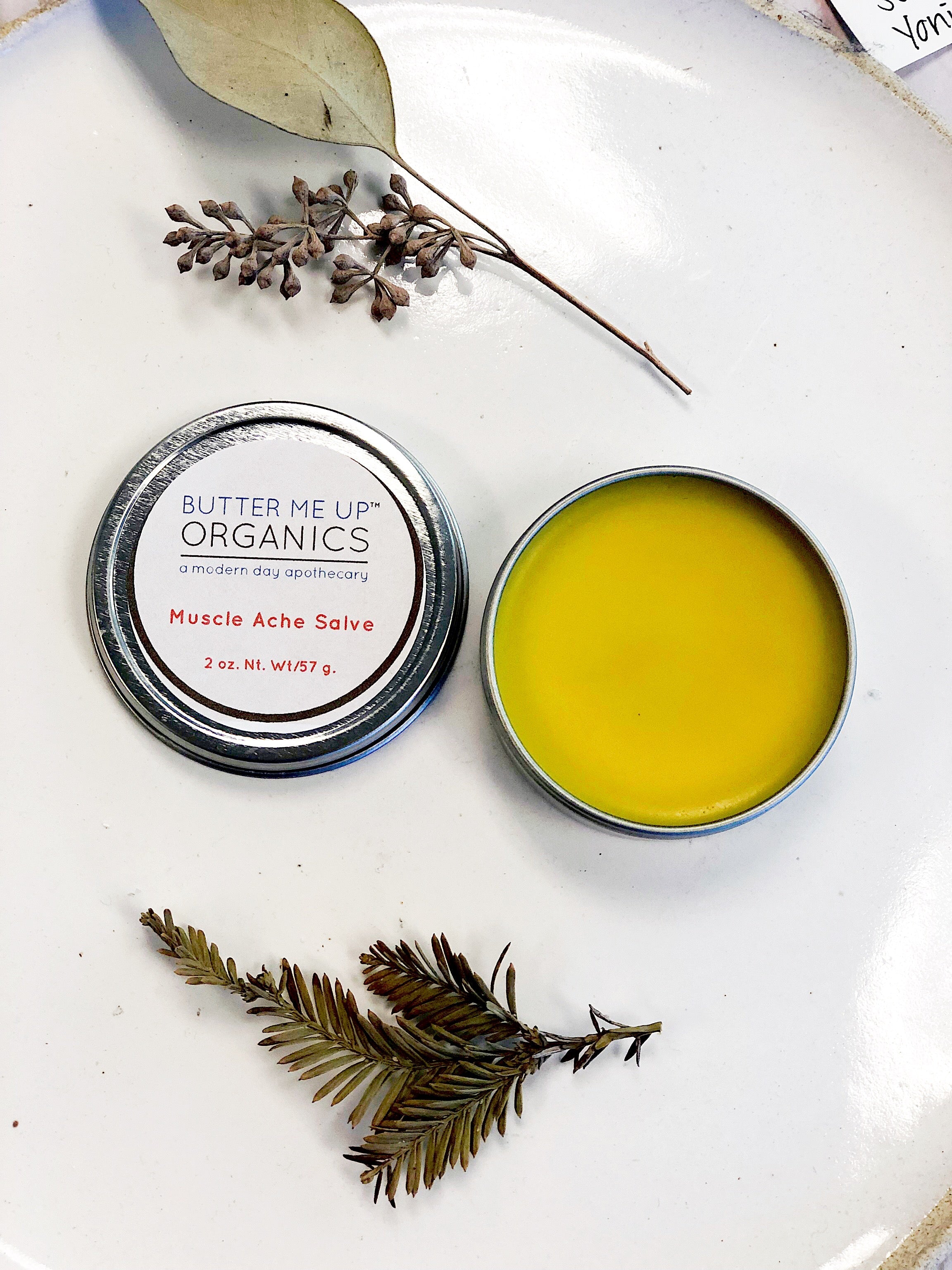Organic Muscle Ache Salve w/ Cayenne / ZERO WASTE / Plastic Free Organic Muscle Ache Salve w/ Cayenne / ZERO WASTE / Plastic Free