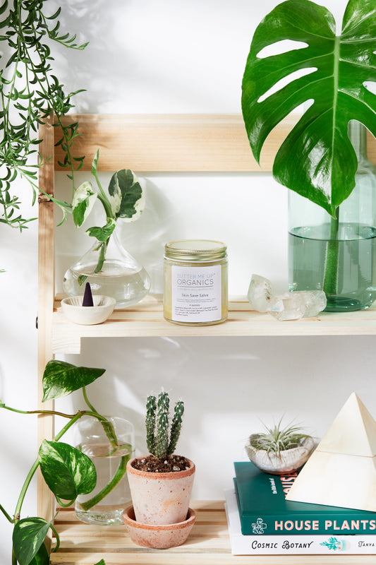 Shelf with various plants, a candle, and books against a white wall.