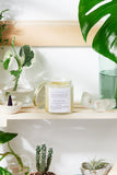 Skin Save Salve / Organic / Herbal Fungal Salve / Anti Fungal / Antibacterial Skin Save Salve / Organic / Herbal Fungal Salve / Anti Fungal / Antibacterial