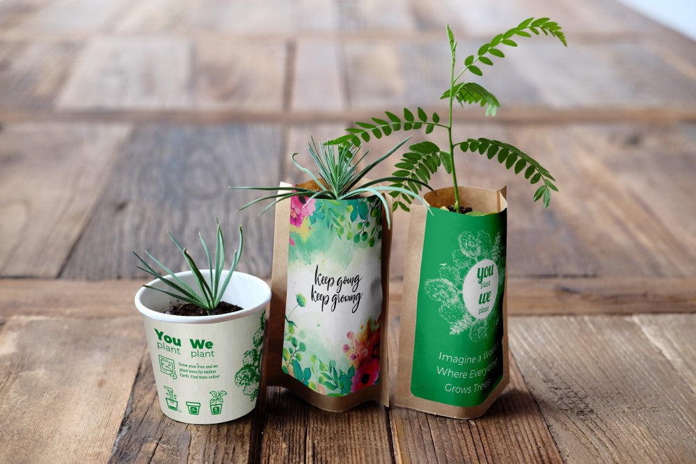 You Plant We Plant Tree Kits Gift Pack, We Plant 30 More Trees You Plant We Plant Tree Kits Gift Pack, We Plant 30 More Trees