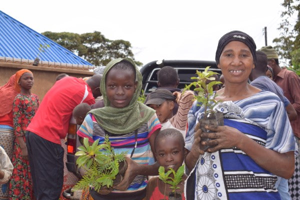 You Plant We Plant Tree Kits Gift Pack, We Plant 30 More Trees You Plant We Plant Tree Kits Gift Pack, We Plant 30 More Trees
