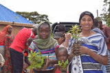 You Plant We Plant Tree Kits Gift Pack, We Plant 30 More Trees You Plant We Plant Tree Kits Gift Pack, We Plant 30 More Trees