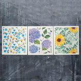 Floral Bursts - Swedish Sponge Cloth Set Floral Bursts - Swedish Sponge Cloth Set