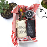 Words of Affirmation, One Love, Dried Flower Bouquet & Self-Care, Gift Set Sunsum® Words of Affirmation, One Love, Dried Flower Bouquet & Self-Care, Gift Set Sunsum®