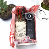 Words of Affirmation, One Love, Dried Flower Bouquet & Self-Care, Gift Set Sunsum® Words of Affirmation, One Love, Dried Flower Bouquet & Self-Care, Gift Set Sunsum®