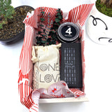 Words of Affirmation, One Love, Dried Flower Bouquet & Self-Care, Gift Set Sunsum® Words of Affirmation, One Love, Dried Flower Bouquet & Self-Care, Gift Set Sunsum®