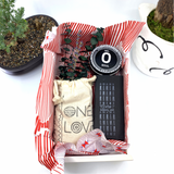 Words of Affirmation, One Love, Dried Flower Bouquet & Self-Care, Gift Set Sunsum® Words of Affirmation, One Love, Dried Flower Bouquet & Self-Care, Gift Set Sunsum®