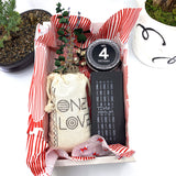 Words of Affirmation, One Love, Dried Flower Bouquet & Self-Care, Gift Set Sunsum® Words of Affirmation, One Love, Dried Flower Bouquet & Self-Care, Gift Set Sunsum®