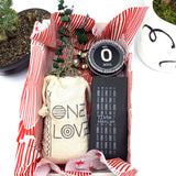 Words of Affirmation, One Love, Dried Flower Bouquet & Self-Care, Gift Set Sunsum® Words of Affirmation, One Love, Dried Flower Bouquet & Self-Care, Gift Set Sunsum®