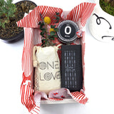 Words of Affirmation, One Love, Dried Flower Bouquet & Self-Care, Gift Set Sunsum® Words of Affirmation, One Love, Dried Flower Bouquet & Self-Care, Gift Set Sunsum®