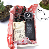 Words of Affirmation, One Love, Dried Flower Bouquet & Self-Care, Gift Set Sunsum® Words of Affirmation, One Love, Dried Flower Bouquet & Self-Care, Gift Set Sunsum®