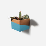 Diamond self-watering, wall-mounted planter Diamond self-watering, wall-mounted planter