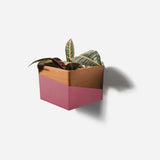 Diamond self-watering, wall-mounted planter Diamond self-watering, wall-mounted planter