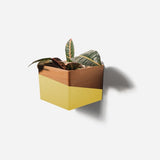 Diamond self-watering, wall-mounted planter Diamond self-watering, wall-mounted planter