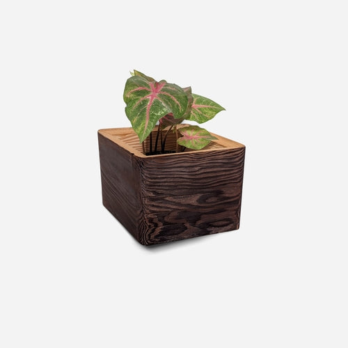 Diamond self-watering, wall-mounted planter Diamond self-watering, wall-mounted planter
