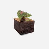 Diamond self-watering, wall-mounted planter Diamond self-watering, wall-mounted planter