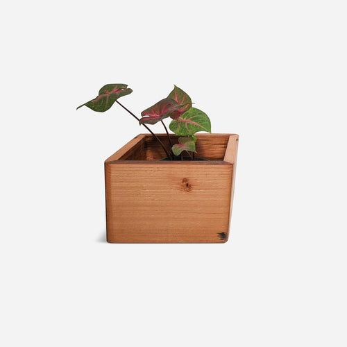 Diamond self-watering, wall-mounted planter Diamond self-watering, wall-mounted planter