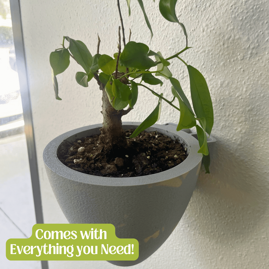 Potted plant on a windowsill with text 'Comes with Everything you Need!'