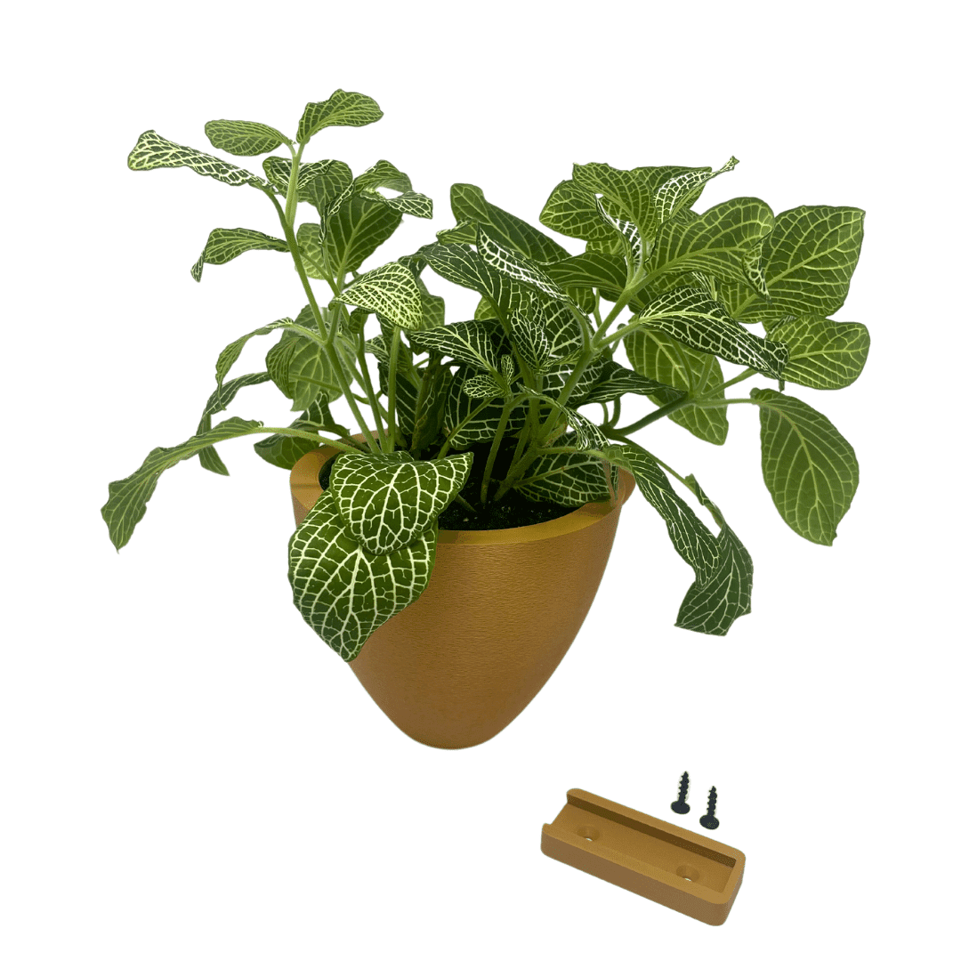 Potted plant with a wall-mounted planter kit on a white background