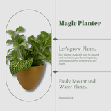 Wall-mounted planter with text about 'Magic Planter' on a light gray background