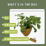 Potted plant with packaging showing components like pot, wall mount, mini screws, and draining compartment on a green background.