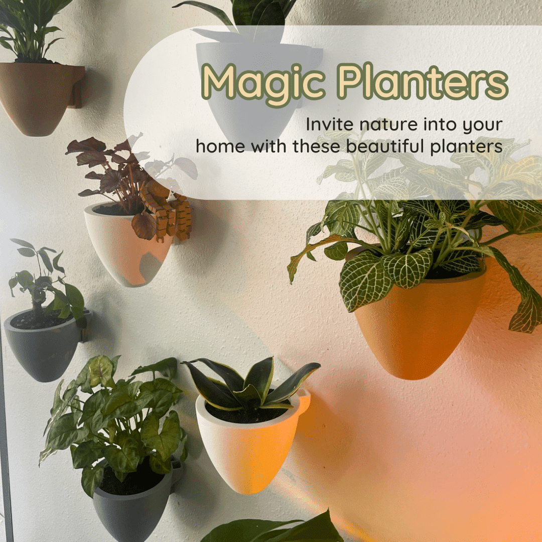 Various potted plants on a wall with promotional text for 'Magic Planters'.
