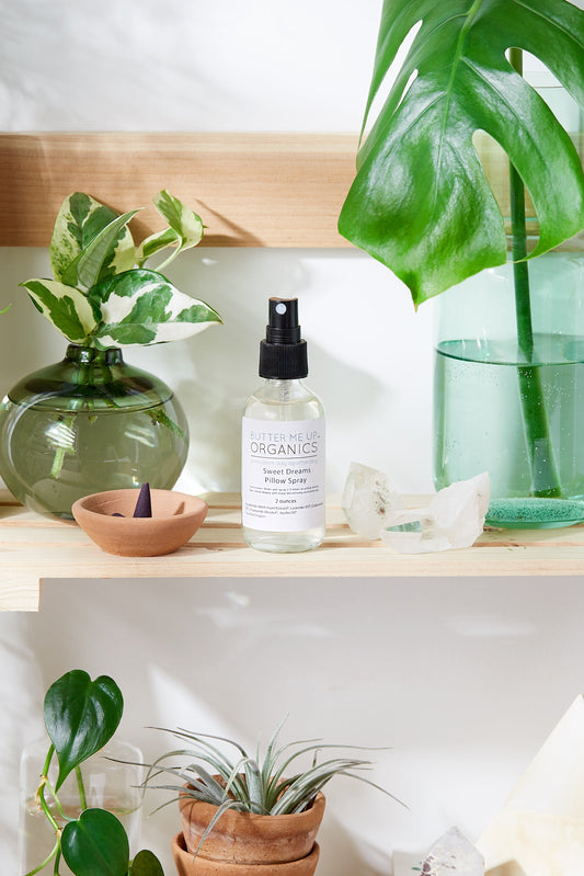 Shelving unit with plants, bottle, and decor items