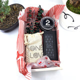 Words of Affirmation, One Love, Dried Flower Bouquet & Self-Care, Gift Set Sunsum®