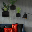 Three black wall planters with plants against a gray concrete wall, with a sofa and pillows in the foreground.