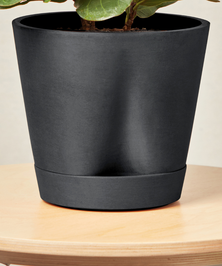 Black planter with a plant on a wooden surface