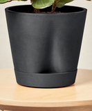 Black planter with a plant on a wooden surface